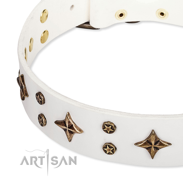 Full grain natural leather dog collar with awesome embellishments