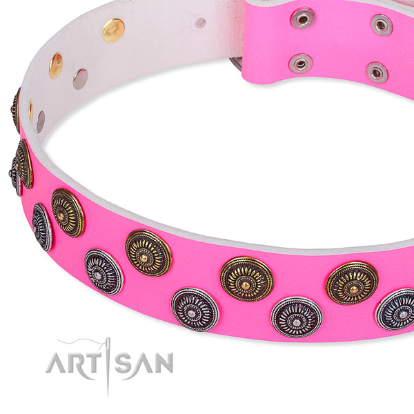 Full grain leather dog collar with fashionable embellishments