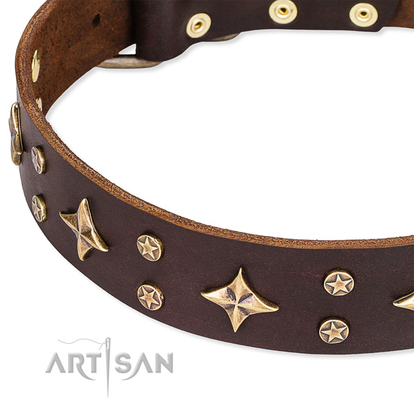 Full grain genuine leather dog collar with top notch studs