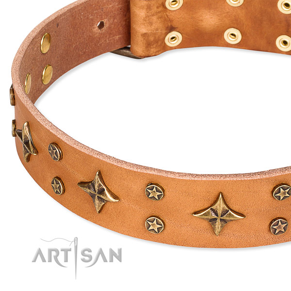 Full grain genuine leather dog collar with remarkable decorations