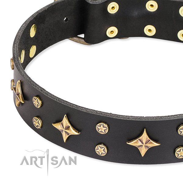 Full grain leather dog collar with significant adornments