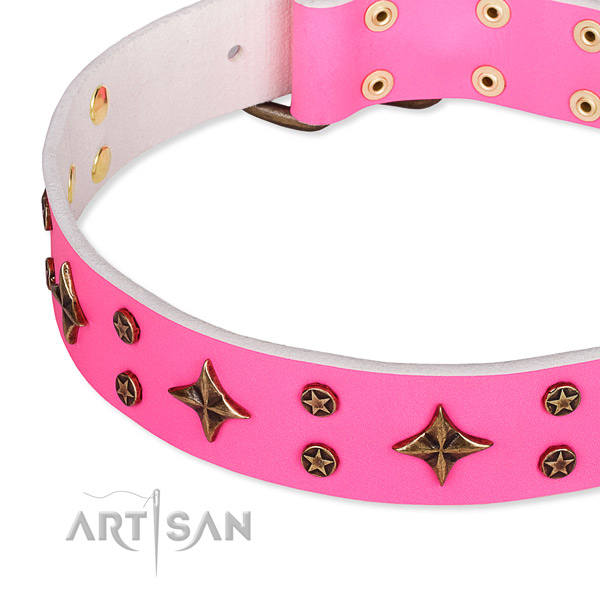Full grain natural leather dog collar with unique adornments