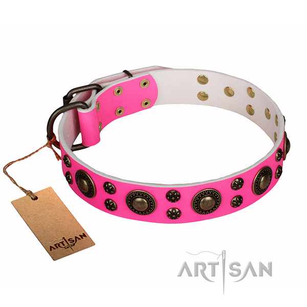 Daily use full grain genuine leather collar with decorations for your dog