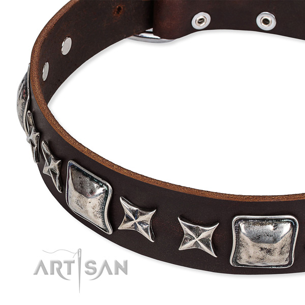 Full grain natural leather dog collar with embellishments for walking