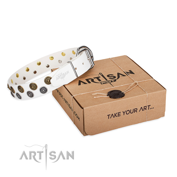 Natural genuine leather dog collar with studs for daily walking