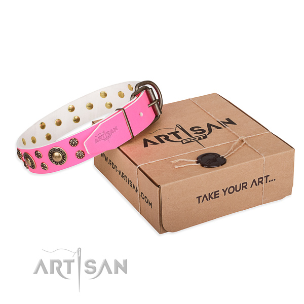Full grain natural leather dog collar with studs for stylish walking