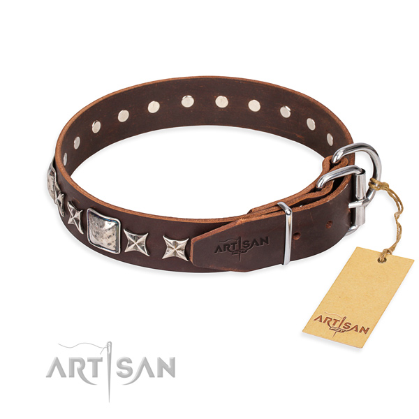 Walking genuine leather collar with studs for your four-legged friend