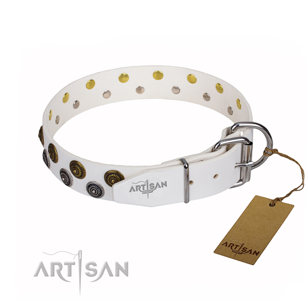 Everyday use full grain natural leather collar with studs for your four-legged friend