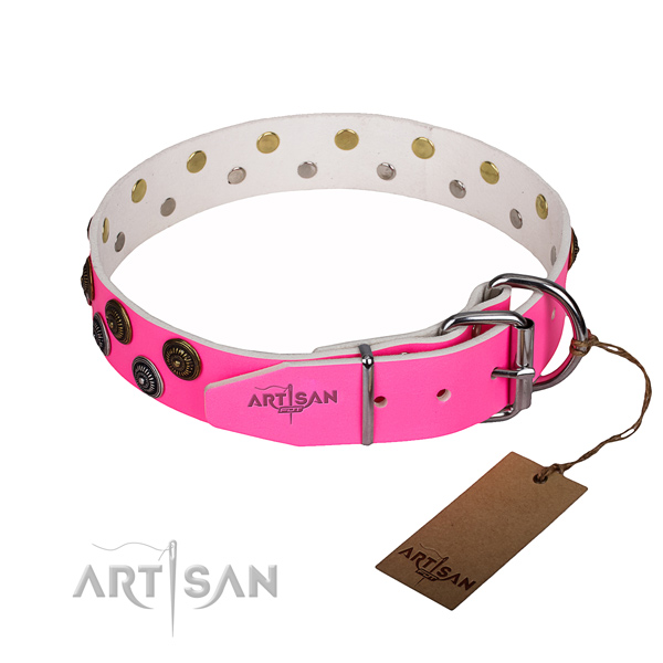 Everyday walking full grain natural leather collar with studs for your four-legged friend