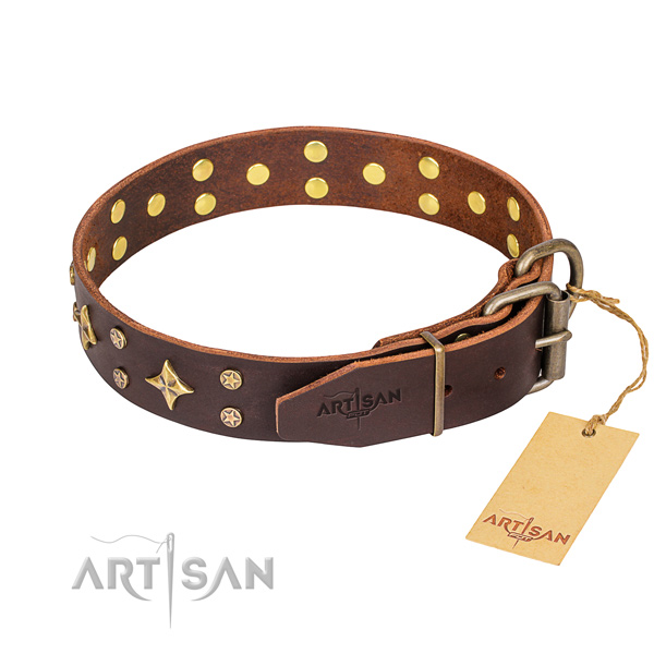 Everyday use full grain leather collar with studs for your dog