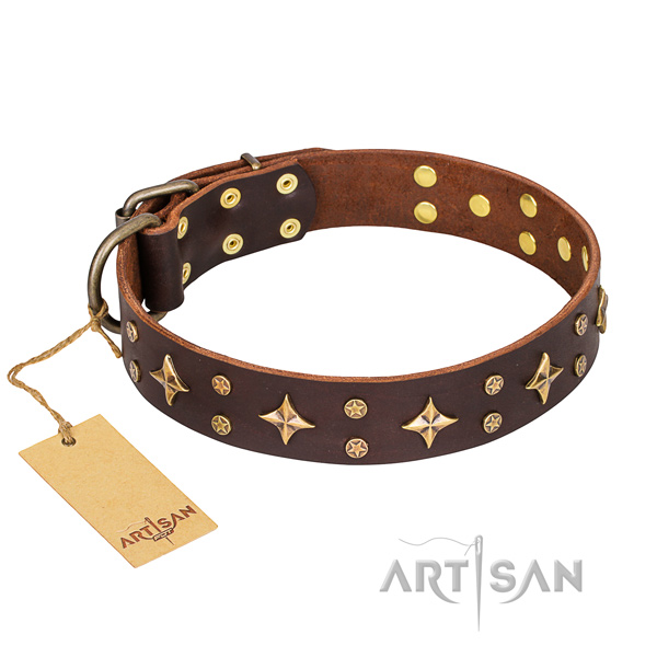 Unique full grain natural leather dog collar for everyday use