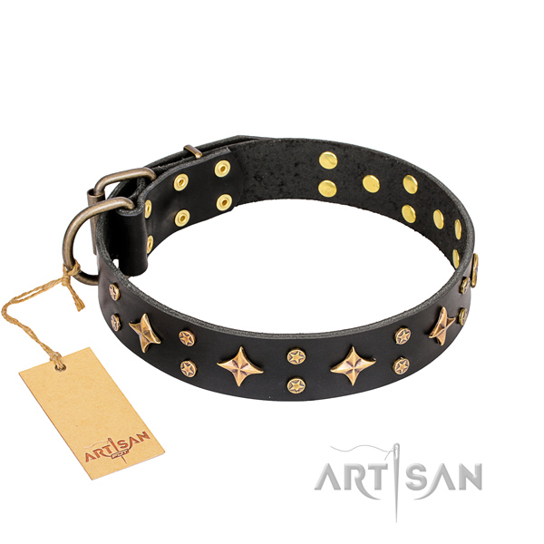Fashionable full grain leather dog collar for stylish walking
