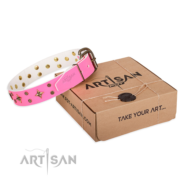 Studded full grain leather dog collar for stylish walking