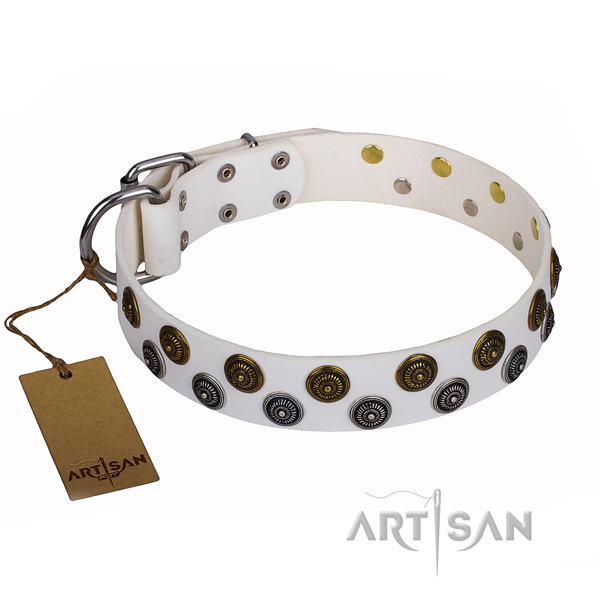 Exceptional genuine leather dog collar for everyday walking
