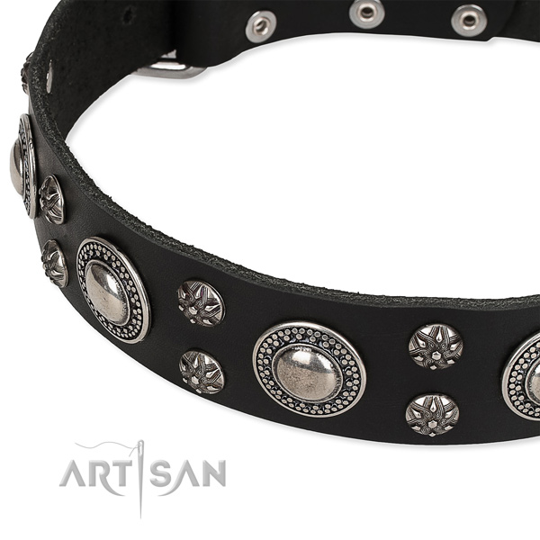 Snugly fitted leather dog collar with resistant to tear and wear non-rusting fittings