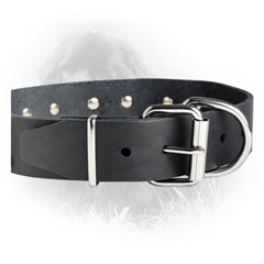Nickel Hardware Newfoundland Dog Leather Collar