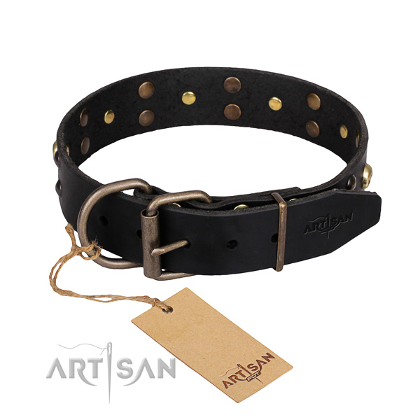 Daily leather dog collar with elegant embellishments