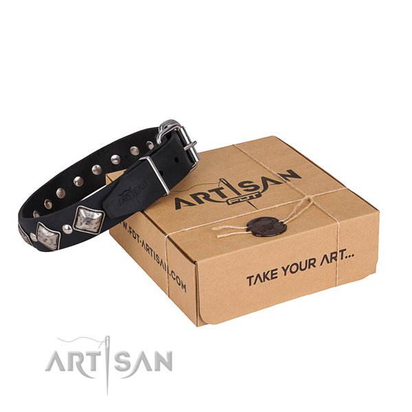 Daily leather dog collar with exceptional studs