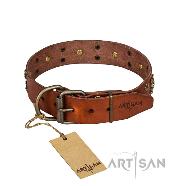 Strong leather dog collar with reliable elements