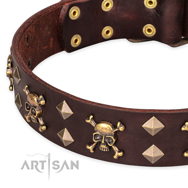 Everyday leather dog collar with fashionable decorations