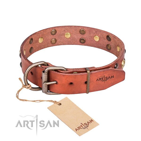 Fancy leather dog collar for walking