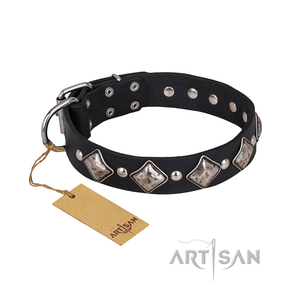 Natural leather dog collar with thoroughly polished leather surface