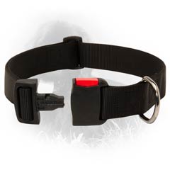 Durable Nylon Newfoundland Dog Collar With Quick  Release Buckle