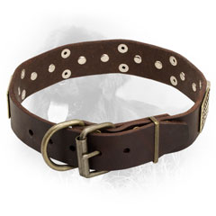 Leather Newfoundland Collar with Strong Brass Fittings