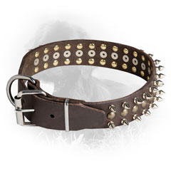 Decorated Newfoundland Collar with Nickel Plated Fittings