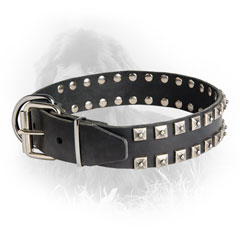 Studded Leather Newfoundland Collar with Durable Buckle