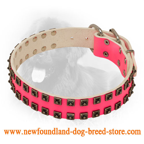 Buy Luxury Dog Collars, Glamorous Dog Collar