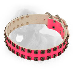 Studded Designer Pink Leather Newfoundland Collar
