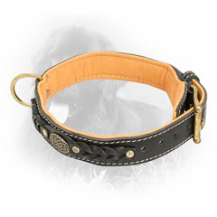 Nappa Padded Newfoundland Collar 