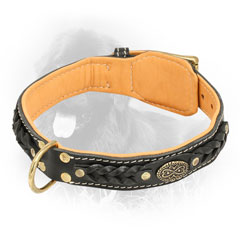 Leather Newfoundland Collar with Fur Protection Plate