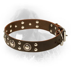 Leather Newfoundland Collar with Strong D-ring