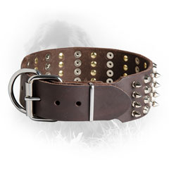 Decoratec Newfoundland Collar with Extra Durable D-Ring