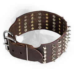 Decoratec Newfoundland Collar with Super Strong Buckle