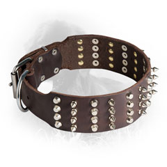  Newfoundland Collar with Nickel Plated Studs and Spikes