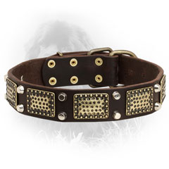 Leather Newfoundland Collar with Nickel and Brass Decorations
