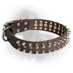 Newfoundland Collar with Attractive Spikes and Studs