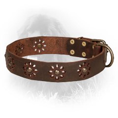 Leather Newfoundland Collar with Silver-Like Studs