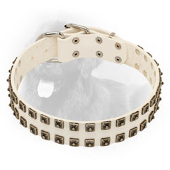 Studded Designer White Leather Newfoundland Collar