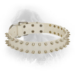 Newfoundland Collar of White Color with Decorations
