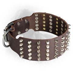 Newfoundland Collar with Nickel Plated Studs and Spikes