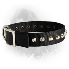 Newfoundland Dog Nylon Collar Massive Buckle