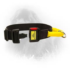 Stylish Nylon Newfoundland Dog Collar With Lite Quick  Release Buckle