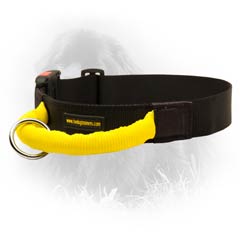 Nefoundland Nylon Quick Release Buckle and Tri-glide  Dog Collar