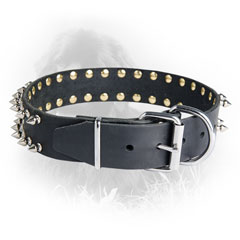 Newfoundland Dog Leather Collar Nickel Hardware