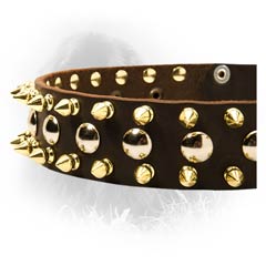 Handmade Decorated Leather Collar