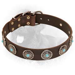 Fashionable Leather Collar